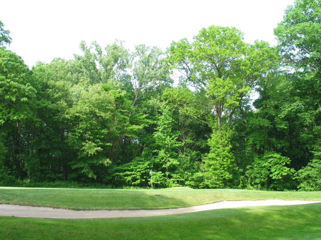 306-0626_IMG.JPG